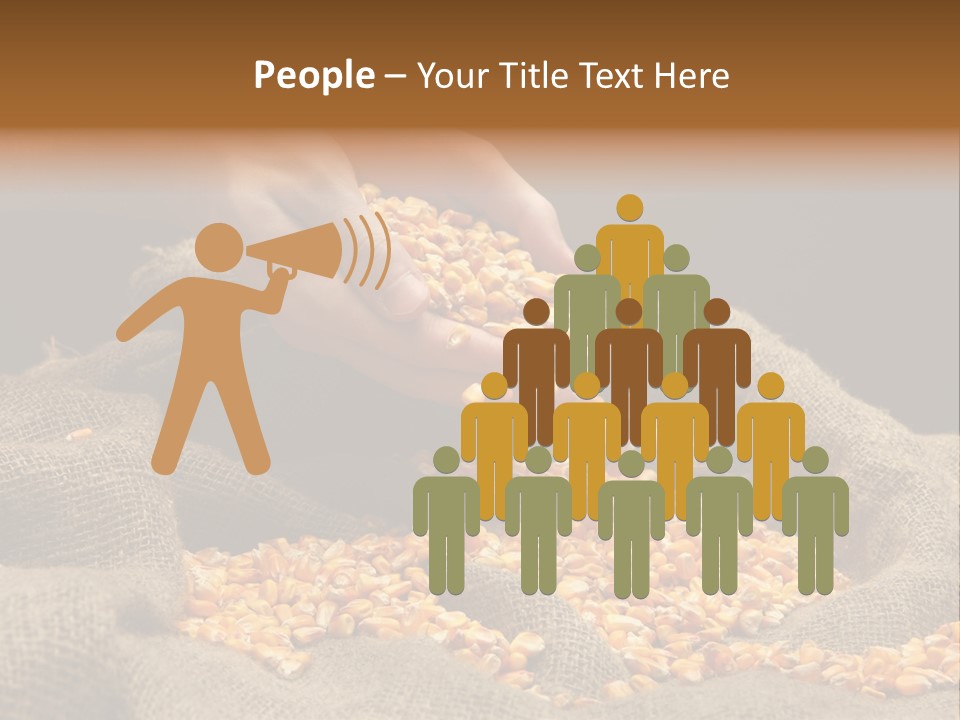 A Person Scooping Corn Out Of A Sack PowerPoint Template