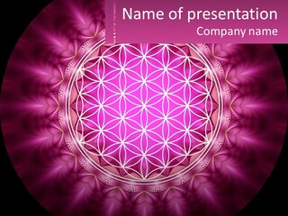A Pink Flower Of Life Powerpoint Presentation PowerPoint Template