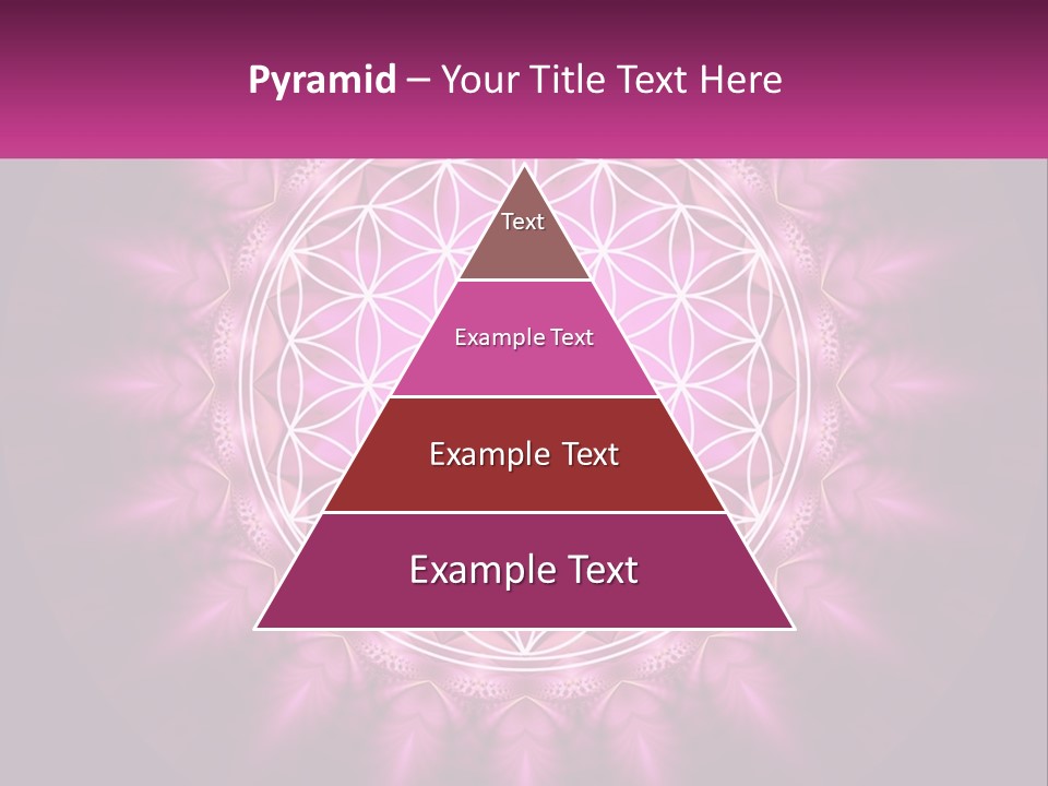 A Pink Flower Of Life Powerpoint Presentation PowerPoint Template