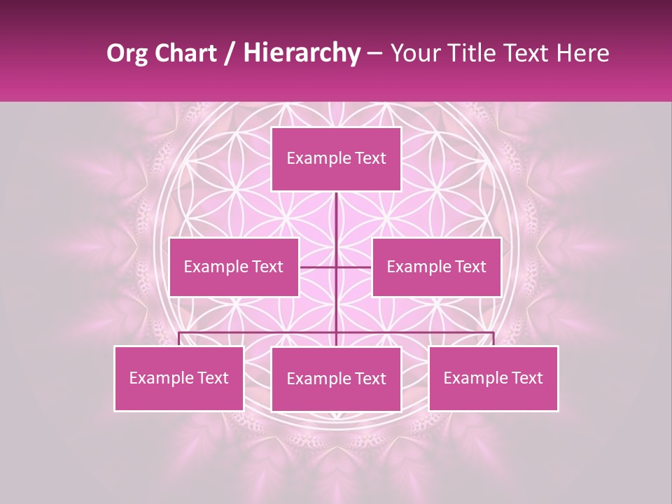 A Pink Flower Of Life Powerpoint Presentation PowerPoint Template