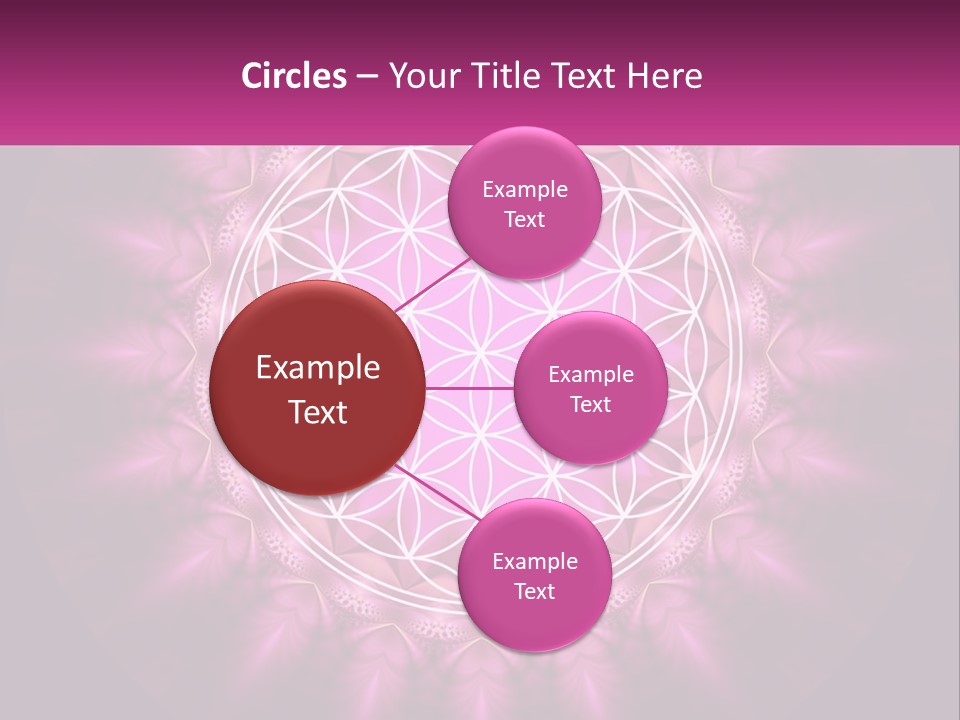 A Pink Flower Of Life Powerpoint Presentation PowerPoint Template