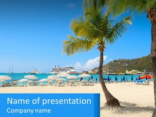 A Palm Tree On A Beach With A Cruise Ship In The Background PowerPoint Template