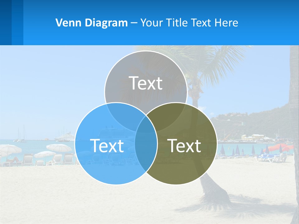 A Palm Tree On A Beach With A Cruise Ship In The Background PowerPoint Template