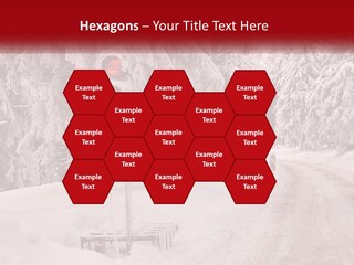 A Stop Light On A Snowy Road With Trees In The Background PowerPoint Template