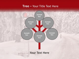 A Stop Light On A Snowy Road With Trees In The Background PowerPoint Template