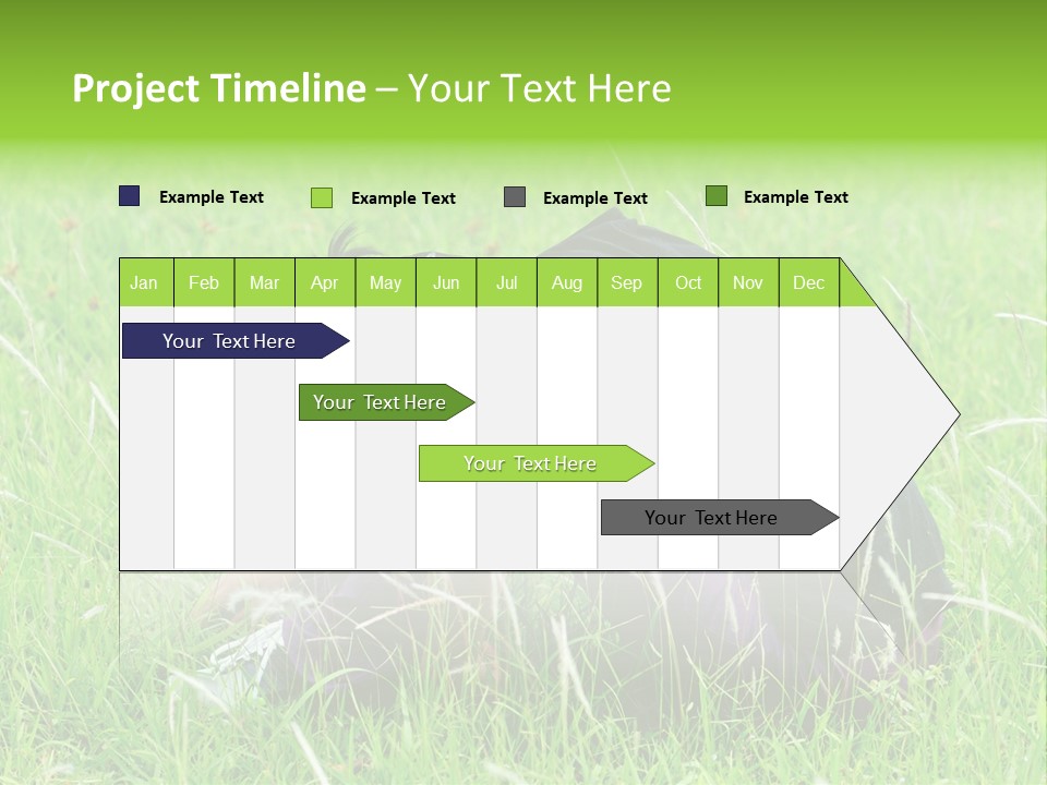 A Woman Sitting In The Grass With Her Head In Her Hands PowerPoint Template