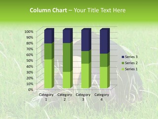 A Woman Sitting In The Grass With Her Head In Her Hands PowerPoint Template