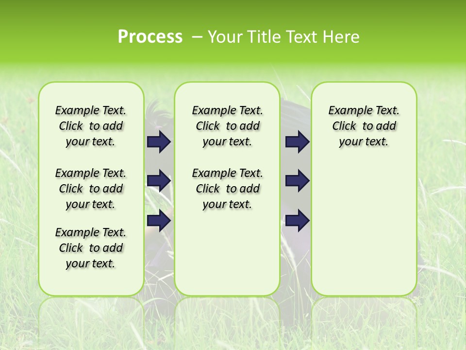 A Woman Sitting In The Grass With Her Head In Her Hands PowerPoint Template
