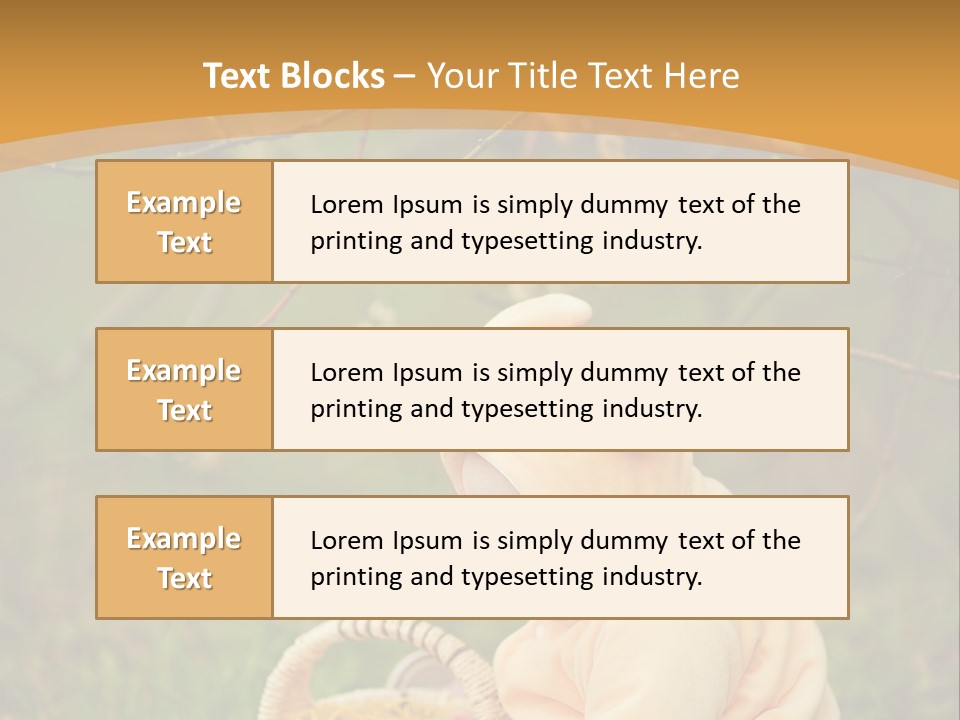 A Baby Sitting In The Grass With A Basket PowerPoint Template