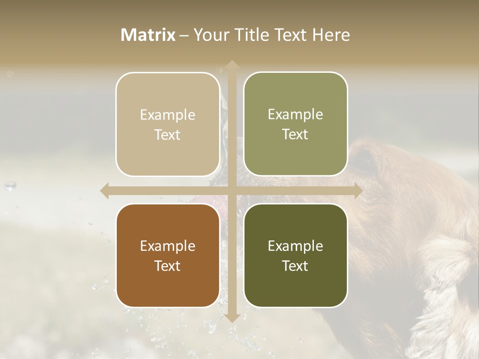 A Brown Dog Drinking Water Out Of A Faucet PowerPoint Template