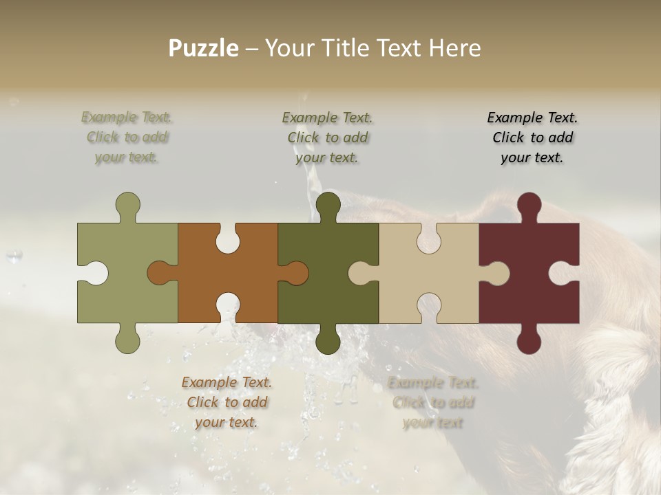 A Brown Dog Drinking Water Out Of A Faucet PowerPoint Template