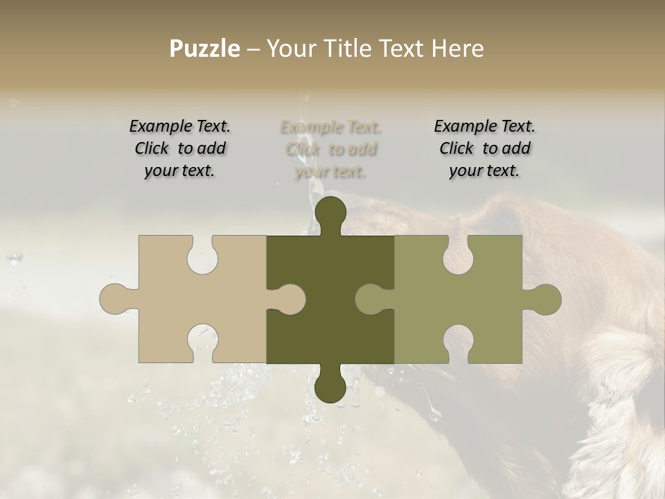 A Brown Dog Drinking Water Out Of A Faucet PowerPoint Template