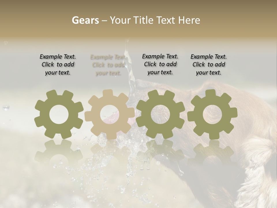 A Brown Dog Drinking Water Out Of A Faucet PowerPoint Template