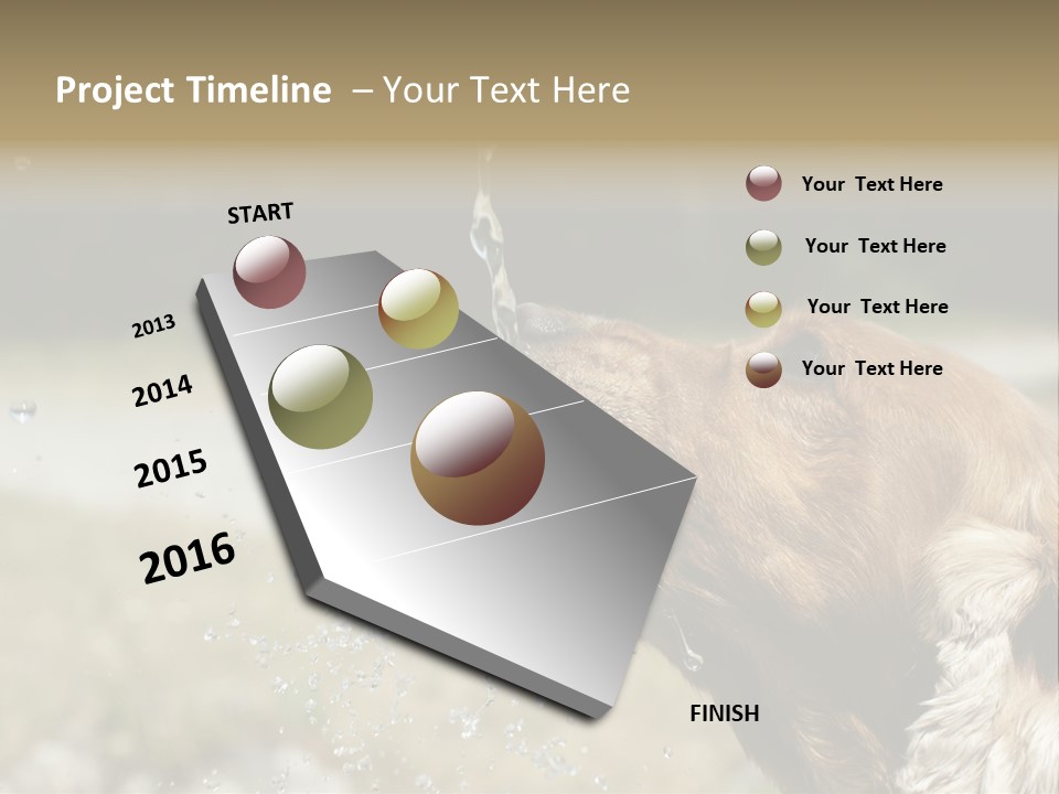 A Brown Dog Drinking Water Out Of A Faucet PowerPoint Template