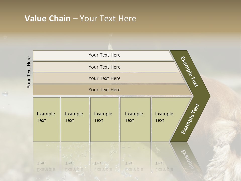 A Brown Dog Drinking Water Out Of A Faucet PowerPoint Template