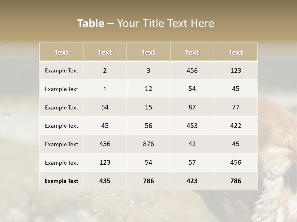 A Brown Dog Drinking Water Out Of A Faucet PowerPoint Template