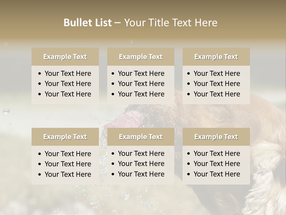 A Brown Dog Drinking Water Out Of A Faucet PowerPoint Template