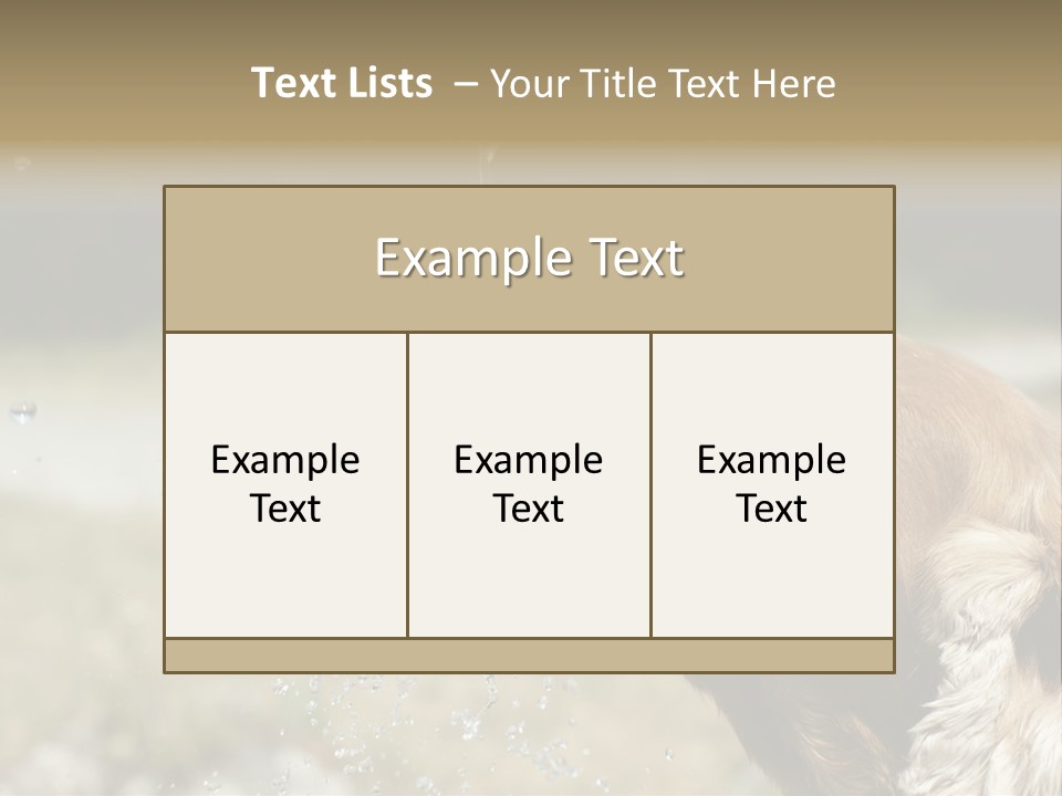 A Brown Dog Drinking Water Out Of A Faucet PowerPoint Template