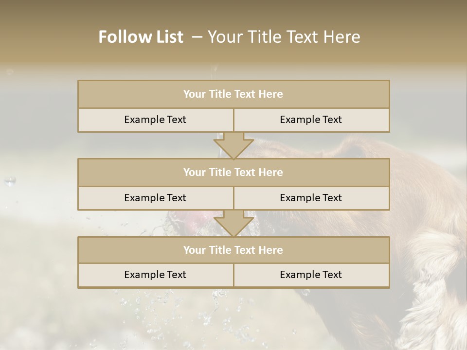 A Brown Dog Drinking Water Out Of A Faucet PowerPoint Template