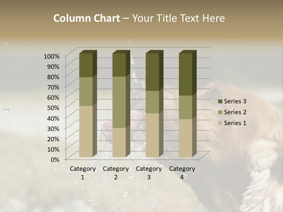 A Brown Dog Drinking Water Out Of A Faucet PowerPoint Template