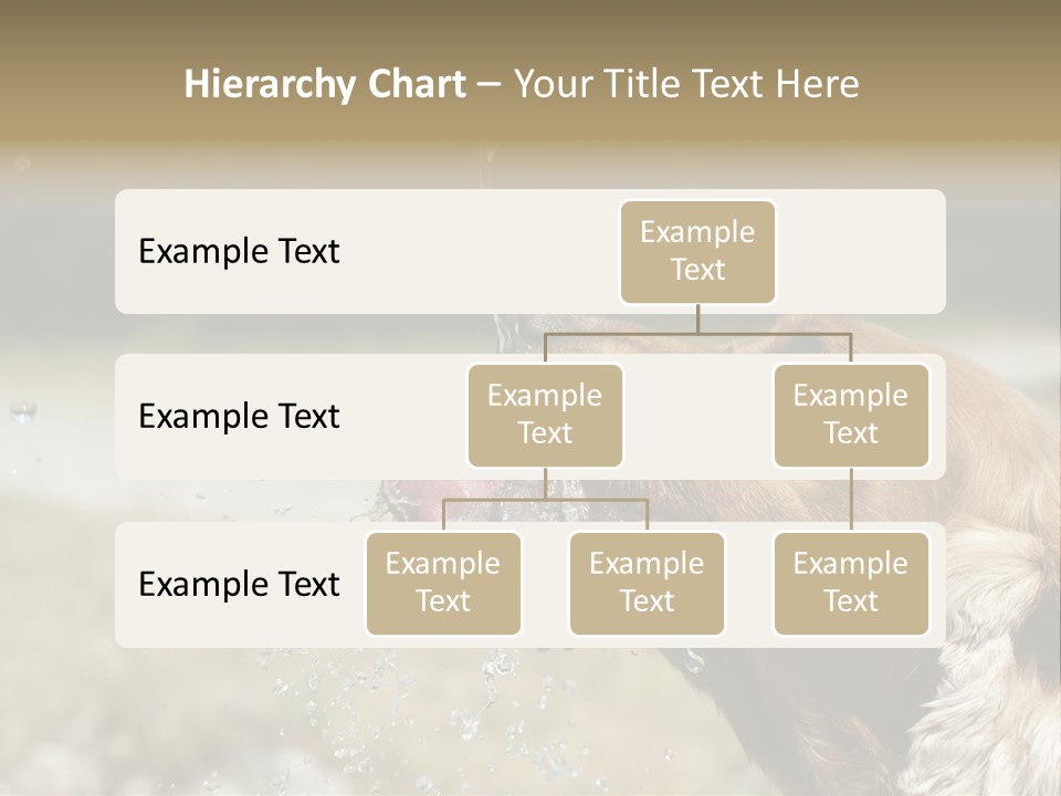 A Brown Dog Drinking Water Out Of A Faucet PowerPoint Template