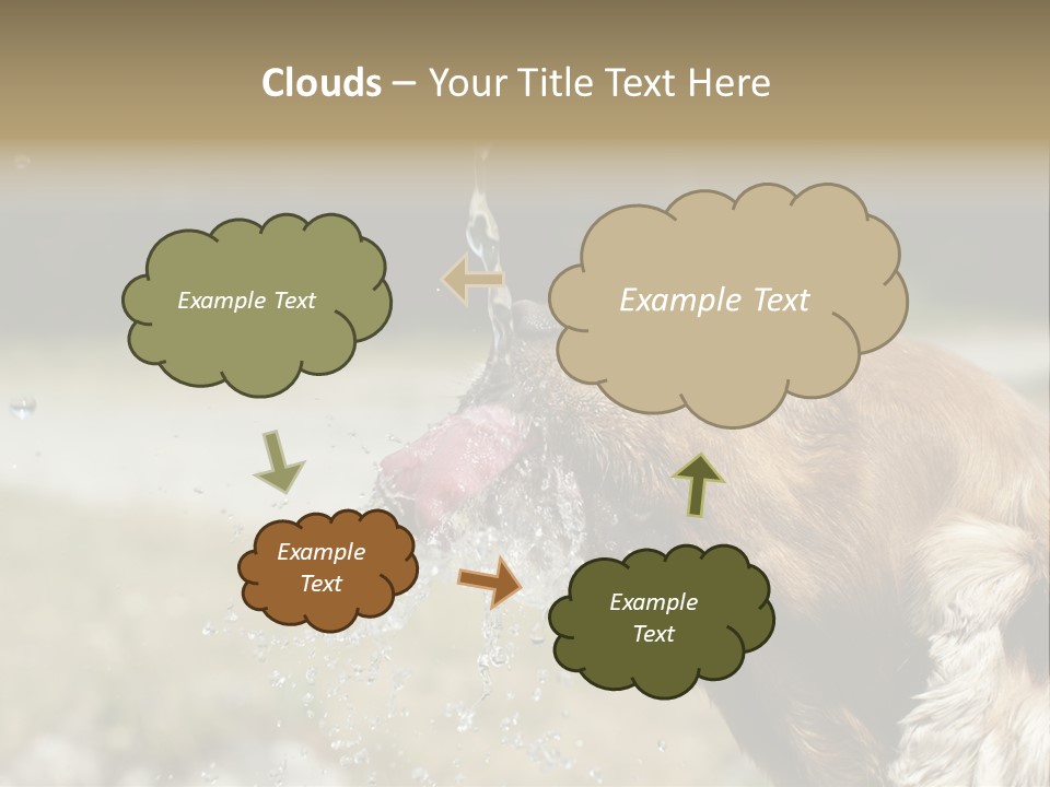 A Brown Dog Drinking Water Out Of A Faucet PowerPoint Template
