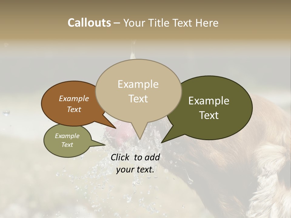 A Brown Dog Drinking Water Out Of A Faucet PowerPoint Template