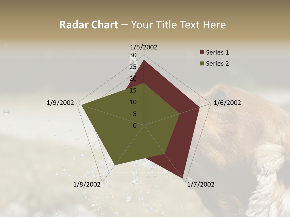 A Brown Dog Drinking Water Out Of A Faucet PowerPoint Template