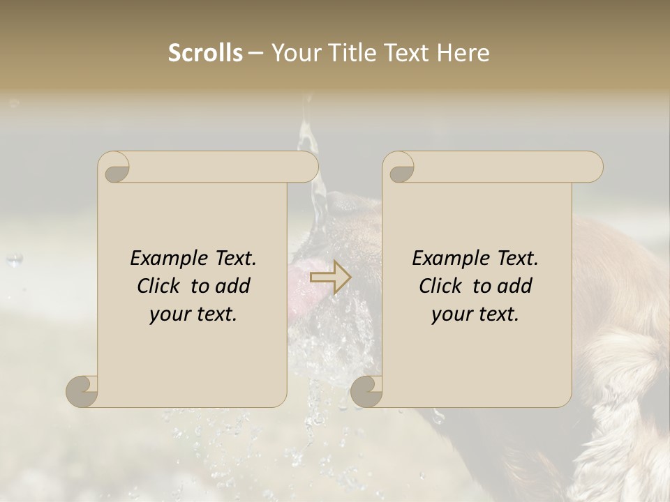 A Brown Dog Drinking Water Out Of A Faucet PowerPoint Template