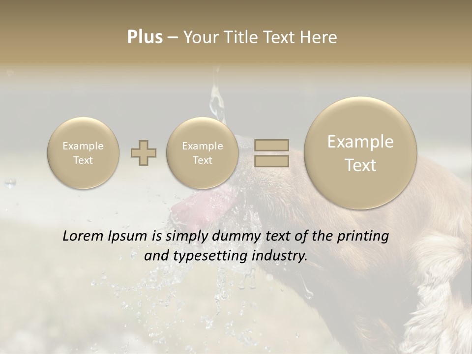 A Brown Dog Drinking Water Out Of A Faucet PowerPoint Template