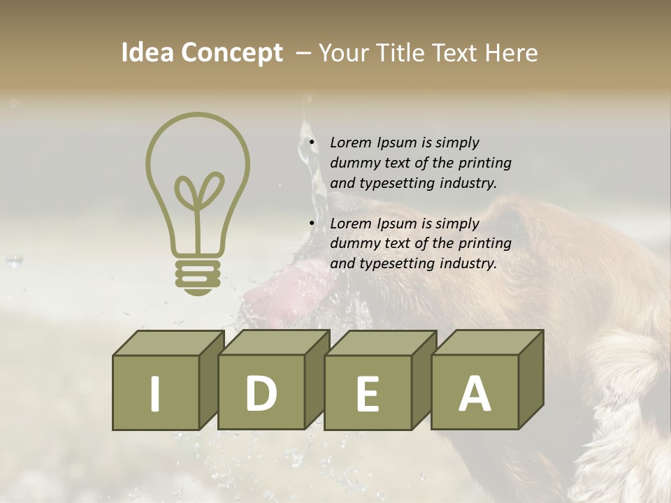 A Brown Dog Drinking Water Out Of A Faucet PowerPoint Template