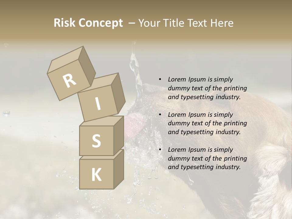 A Brown Dog Drinking Water Out Of A Faucet PowerPoint Template