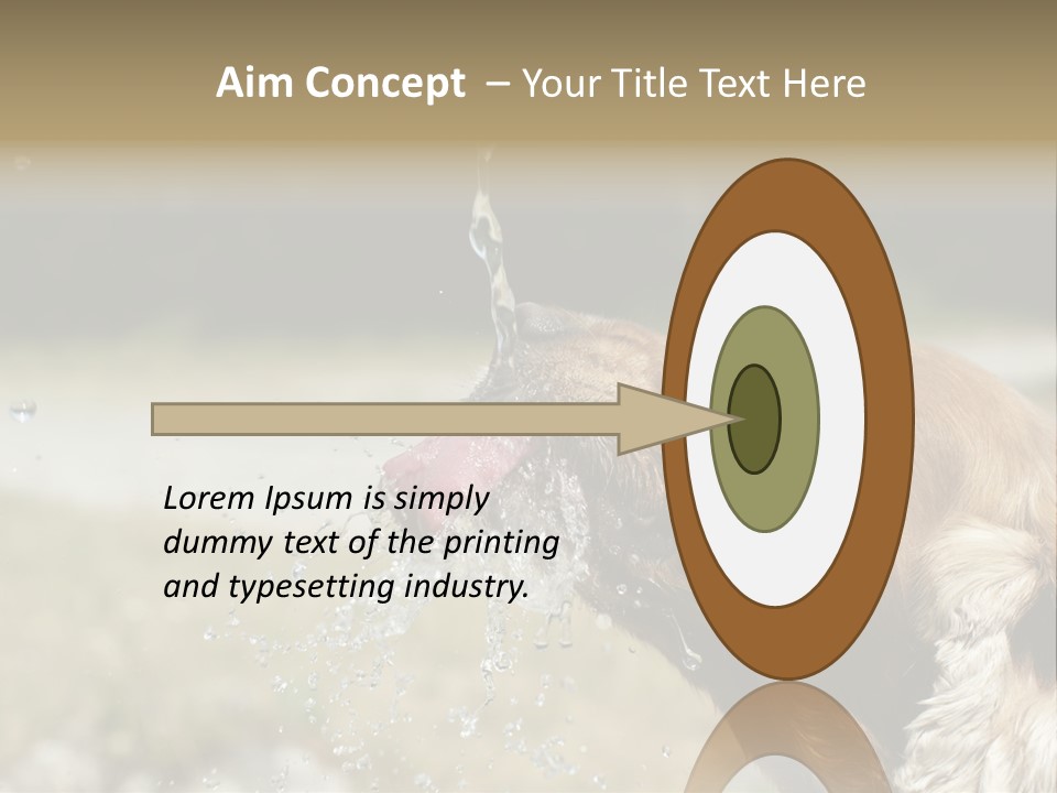 A Brown Dog Drinking Water Out Of A Faucet PowerPoint Template