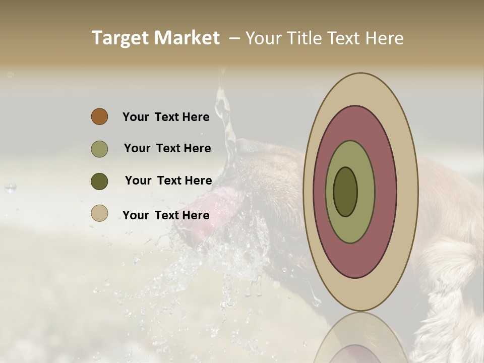 A Brown Dog Drinking Water Out Of A Faucet PowerPoint Template