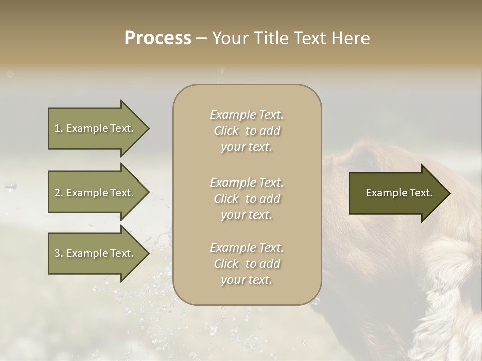 A Brown Dog Drinking Water Out Of A Faucet PowerPoint Template