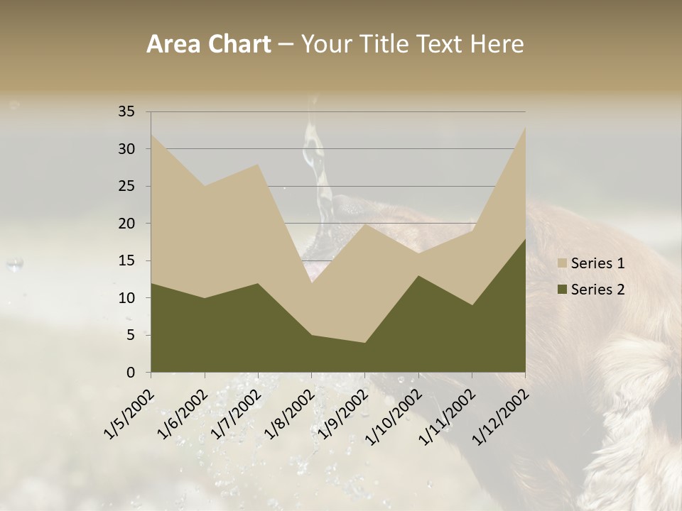 A Brown Dog Drinking Water Out Of A Faucet PowerPoint Template