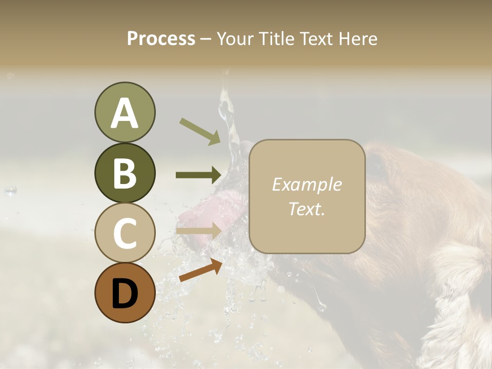 A Brown Dog Drinking Water Out Of A Faucet PowerPoint Template
