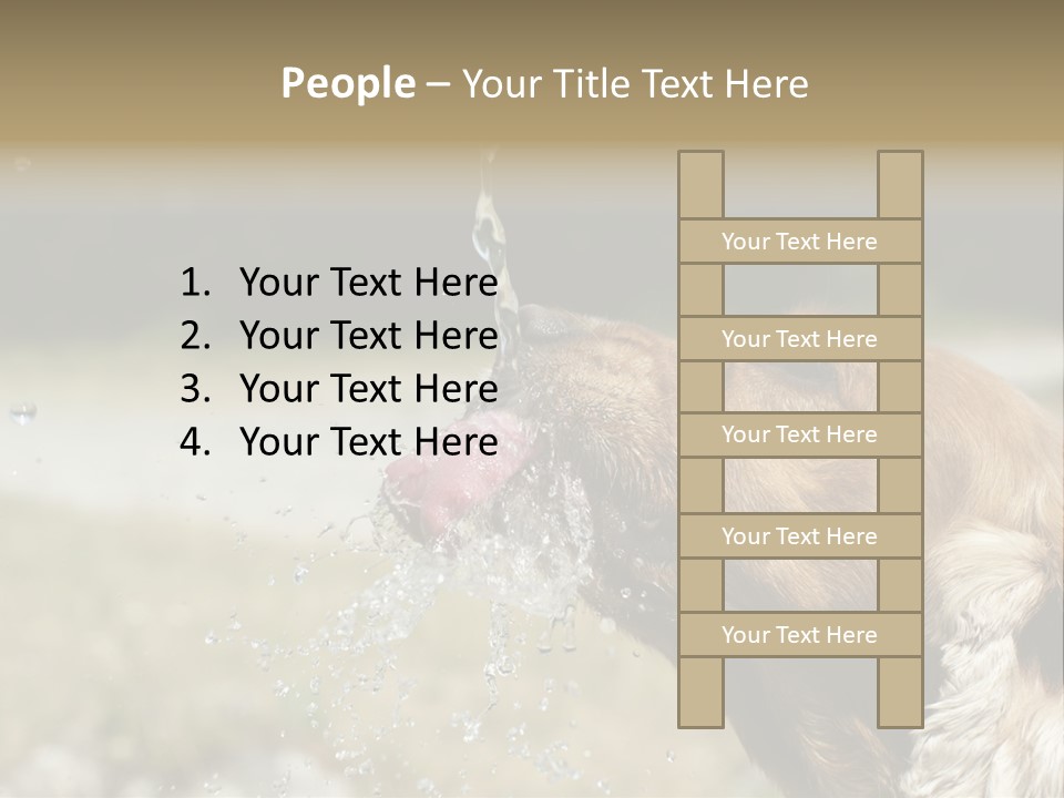 A Brown Dog Drinking Water Out Of A Faucet PowerPoint Template