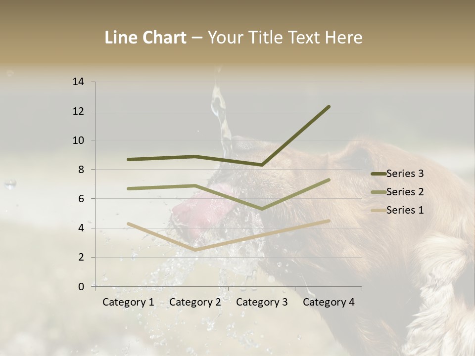 A Brown Dog Drinking Water Out Of A Faucet PowerPoint Template