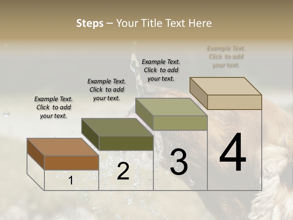 A Brown Dog Drinking Water Out Of A Faucet PowerPoint Template