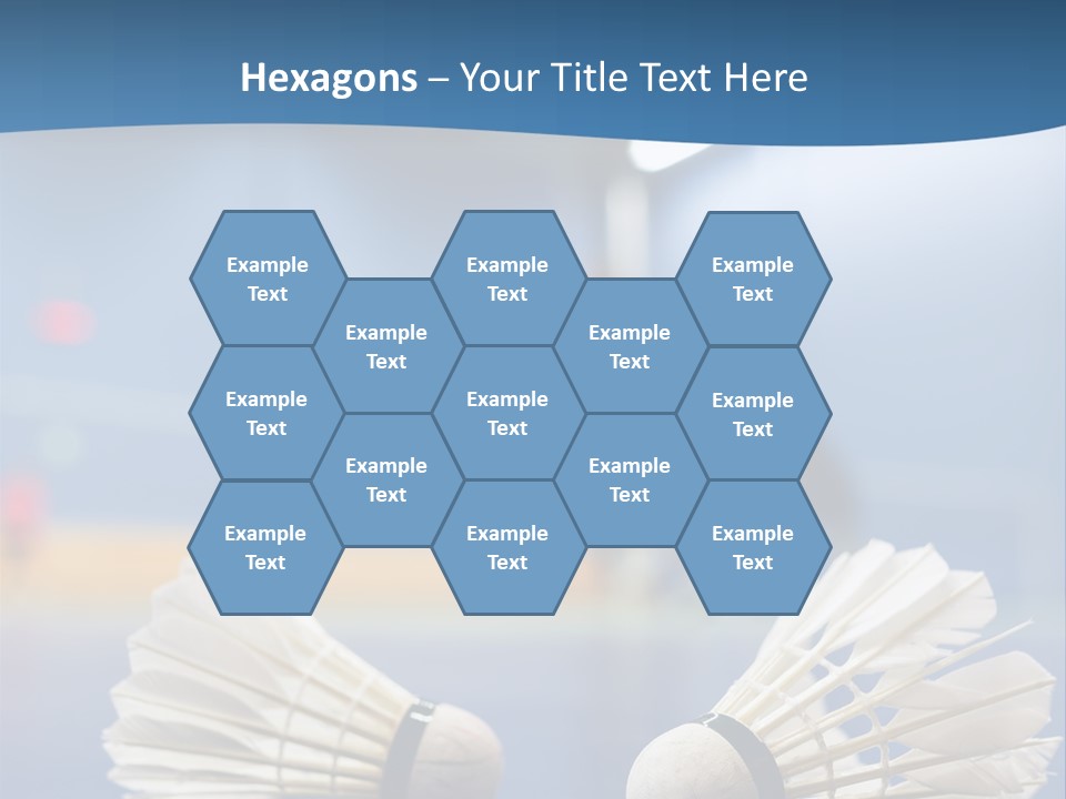 A Couple Of White Bats Sitting On Top Of A Blue Floor PowerPoint Template