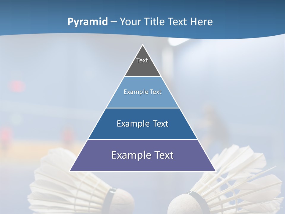 A Couple Of White Bats Sitting On Top Of A Blue Floor PowerPoint Template