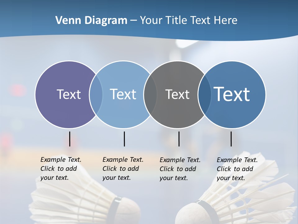 A Couple Of White Bats Sitting On Top Of A Blue Floor PowerPoint Template