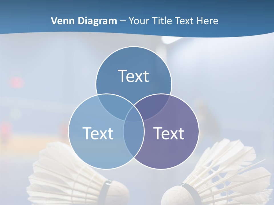 A Couple Of White Bats Sitting On Top Of A Blue Floor PowerPoint Template