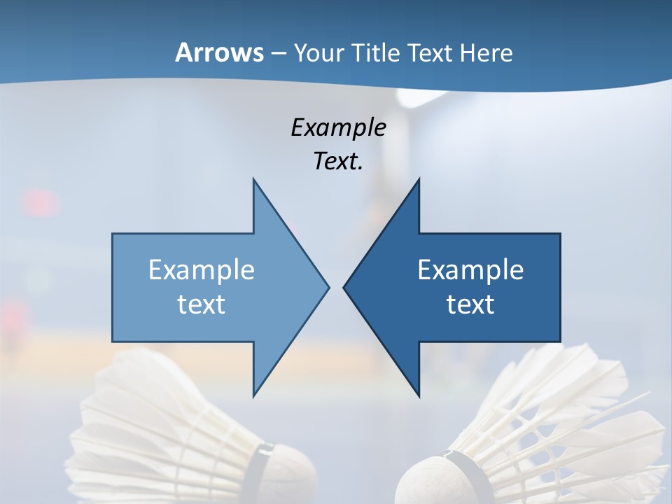 A Couple Of White Bats Sitting On Top Of A Blue Floor PowerPoint Template