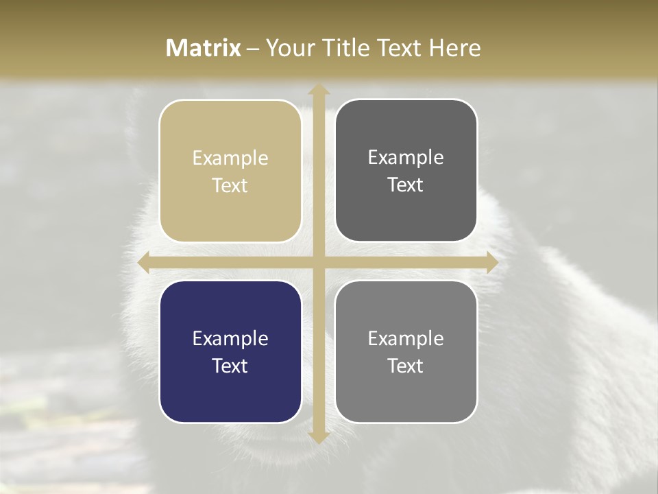 A Panda Bear Standing Next To Another Panda Bear PowerPoint Template