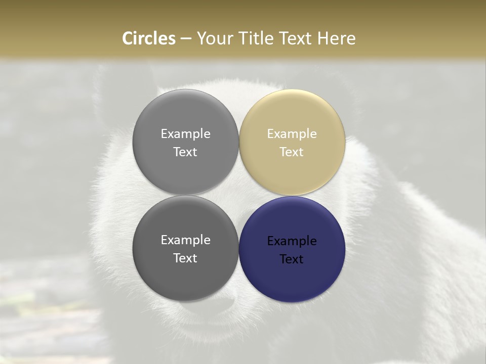 A Panda Bear Standing Next To Another Panda Bear PowerPoint Template