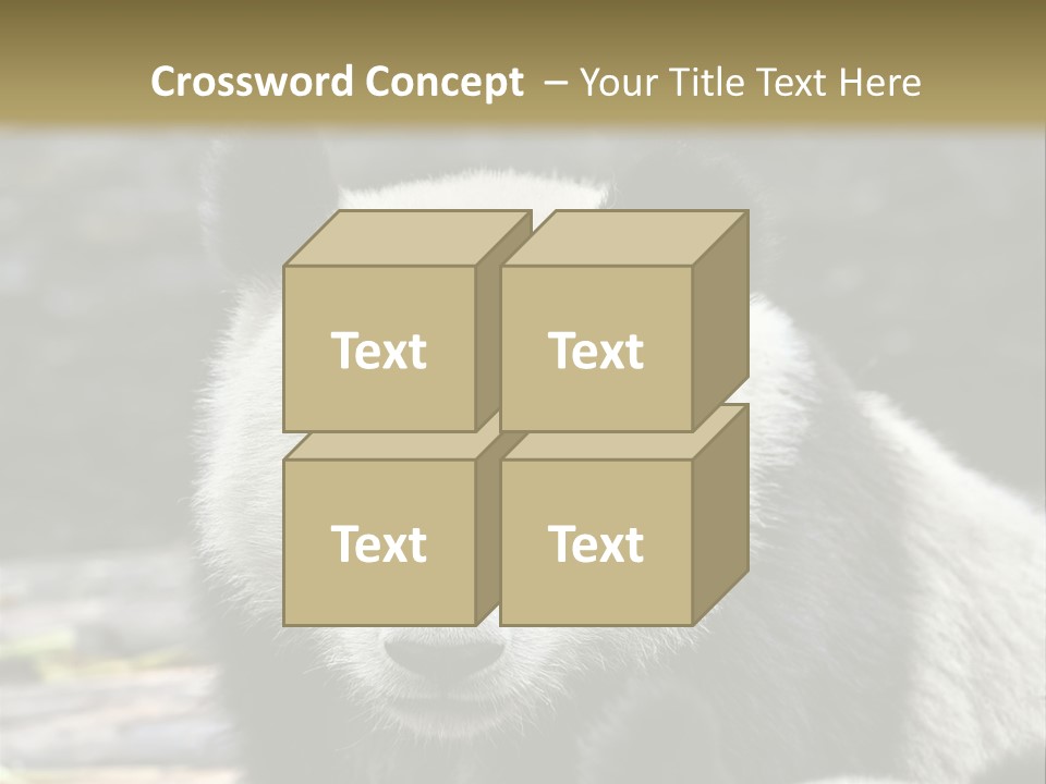 A Panda Bear Standing Next To Another Panda Bear PowerPoint Template