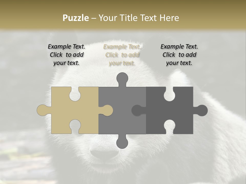 A Panda Bear Standing Next To Another Panda Bear PowerPoint Template