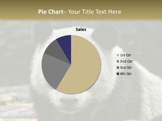 A Panda Bear Standing Next To Another Panda Bear PowerPoint Template